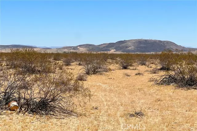 Joshua Tree, CA 92252,6335 Pelican