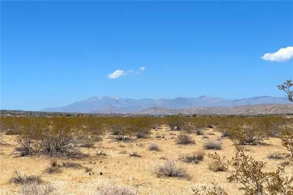 Joshua Tree, CA 92252,6335 Pelican