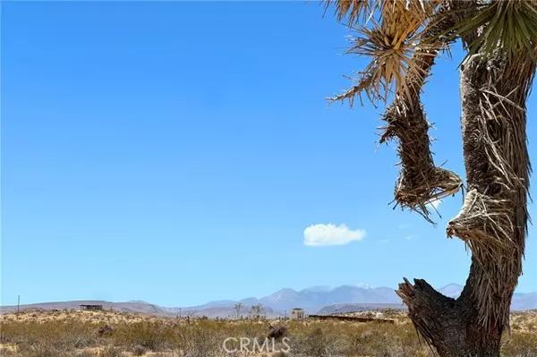 Joshua Tree, CA 92252,0 Willie Way