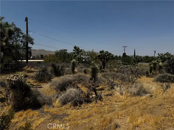 Yucca Valley, CA 92284,0 Piute