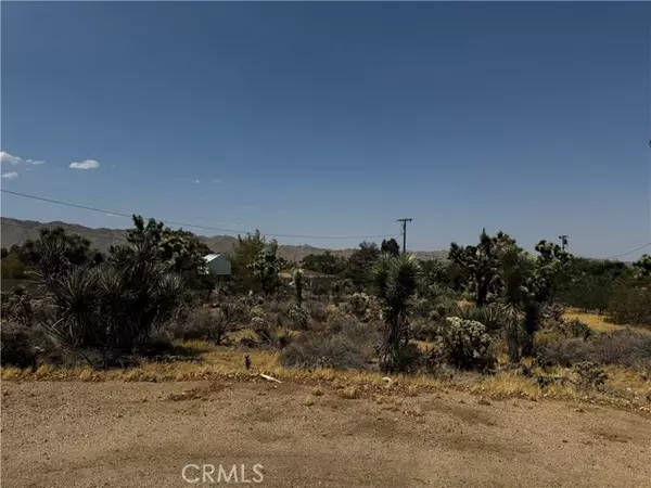 Yucca Valley, CA 92284,0 Piute