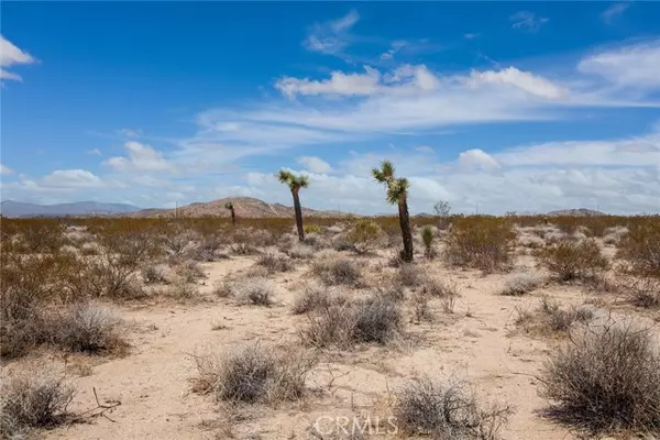 Joshua Tree, CA 92252,2000 Celeste Road