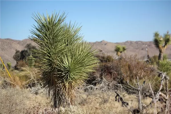 Yucca Valley, CA 92284,8435 Bannock Trail