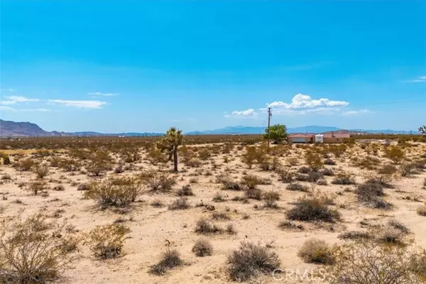 Joshua Tree, CA 92252,2183 Neptune Avenue