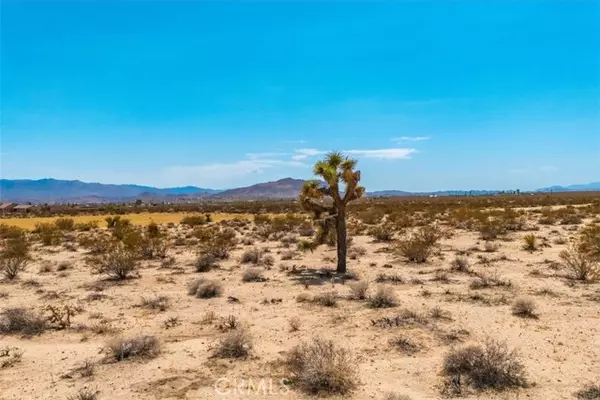 Joshua Tree, CA 92252,2183 Neptune Avenue