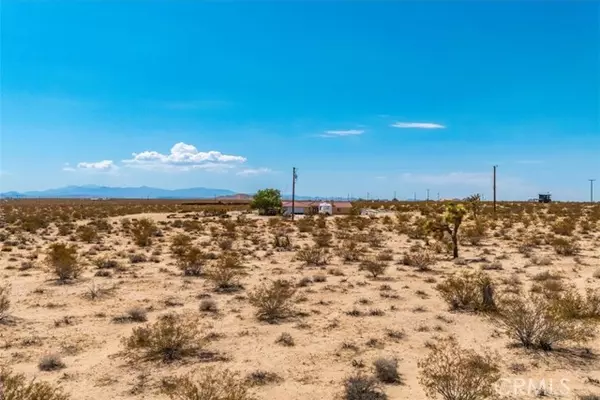 Joshua Tree, CA 92252,2183 Neptune Avenue