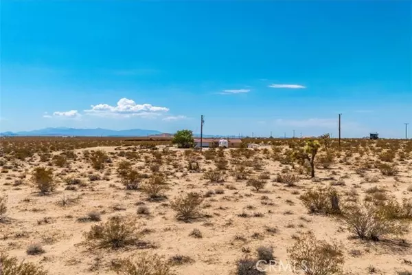 Joshua Tree, CA 92252,2183 Neptune Avenue
