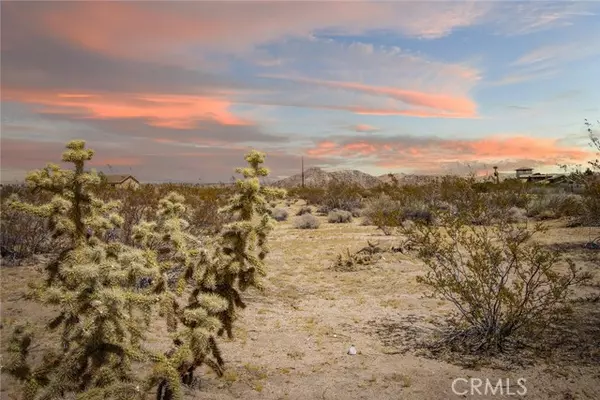 Joshua Tree, CA 92252,63541 Jadeite Street