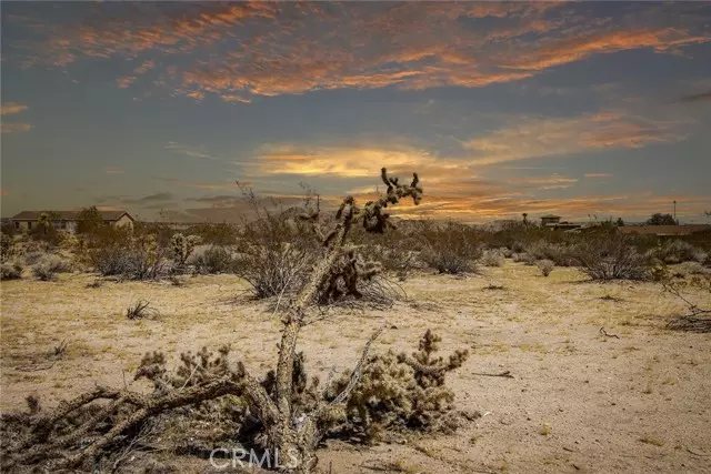 Joshua Tree, CA 92252,63541 Jadeite Street