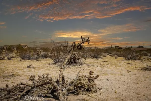 63541 Jadeite Street, Joshua Tree, CA 92252