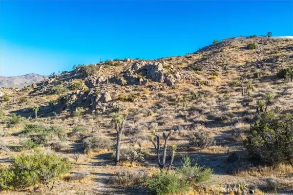 Yucca Valley, CA 92284,596 Buena Suerte Road