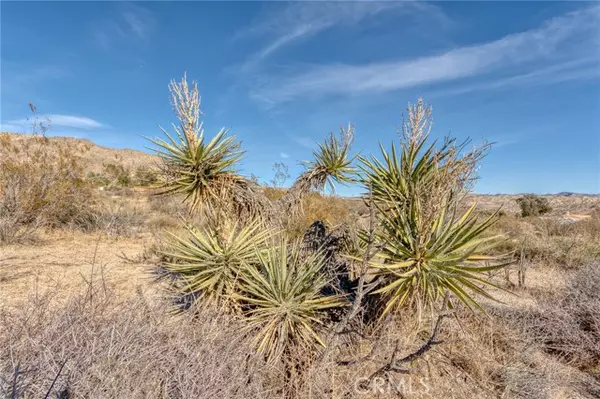 Morongo Valley, CA 92256,321 Pioneer Drive