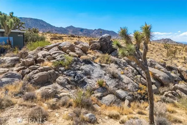 Joshua Tree, CA 92252,62676 Quail Springs Road