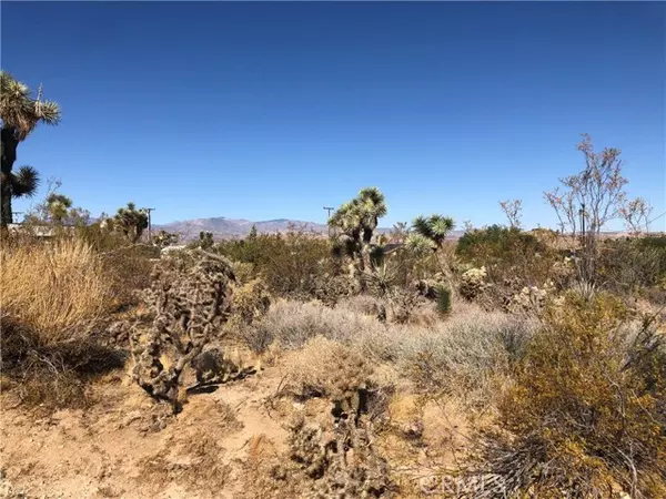 58310 Lisbon, Yucca Valley, CA 92284