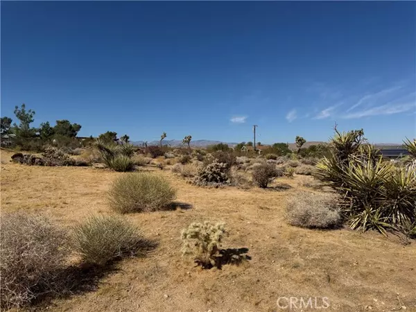 Joshua Tree, CA 92252,7218 Juniper Road