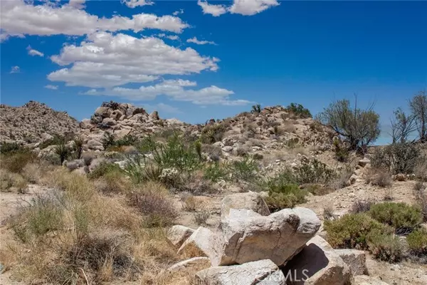 Joshua Tree, CA 92252,60300 Mountain Trail