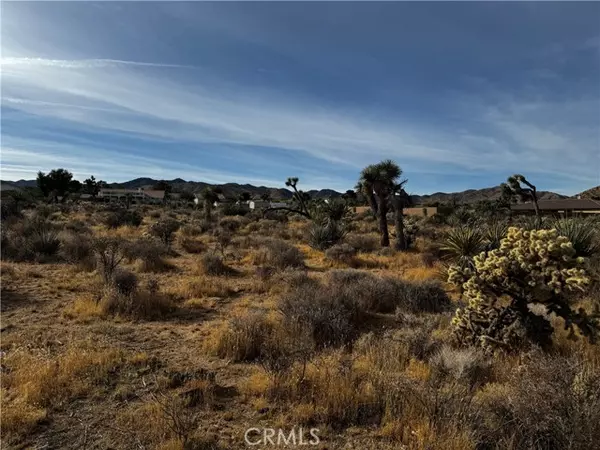 Yucca Valley, CA 92284,0 Plute Trail