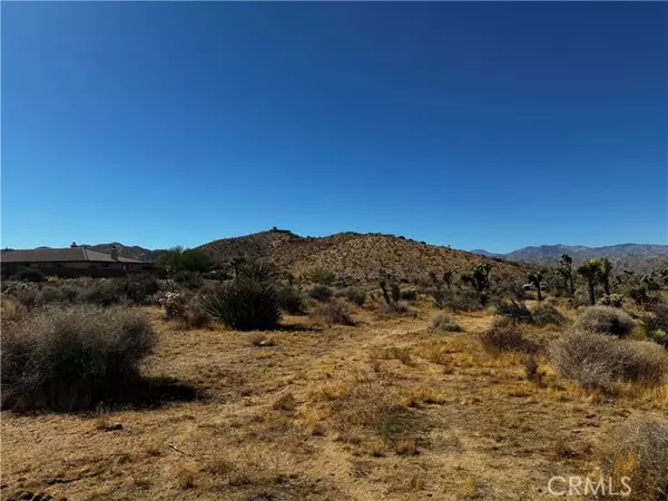 Yucca Valley, CA 92284,0 Plute Trail