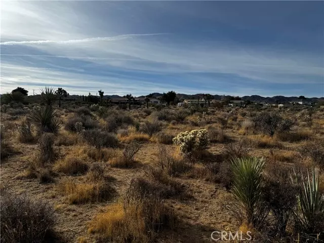 Yucca Valley, CA 92284,0 Plute Trail