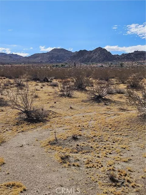 Joshua Tree, CA 92252,0 Twentynine Palms Highway