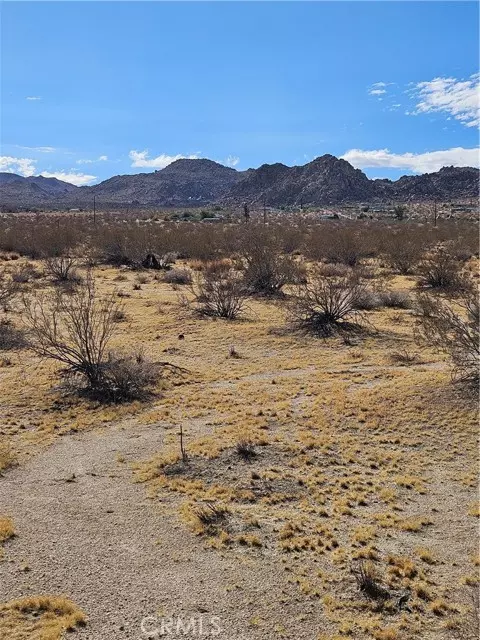 Joshua Tree, CA 92252,0 Twentynine Palms Highway