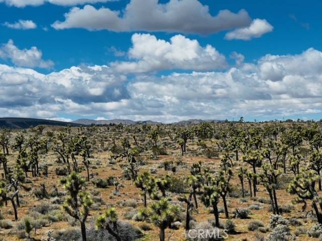 Yucca Valley, CA 92284,57864 Sunflower Drive
