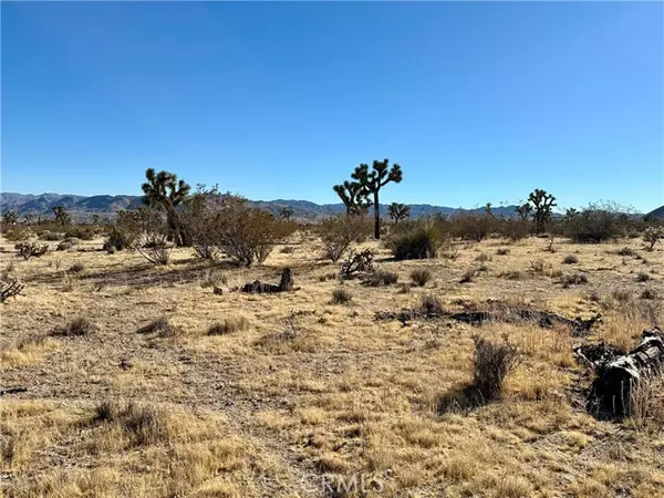 Yucca Valley, CA 92284,4726 Paradise View Road