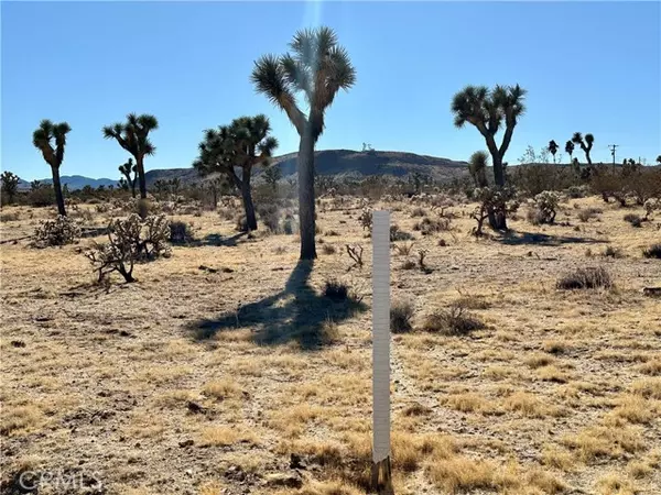 Yucca Valley, CA 92284,4726 Paradise View Road