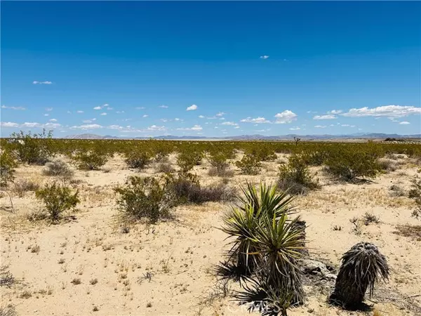 Joshua Tree, CA 92252,2 Milky Way Avenue