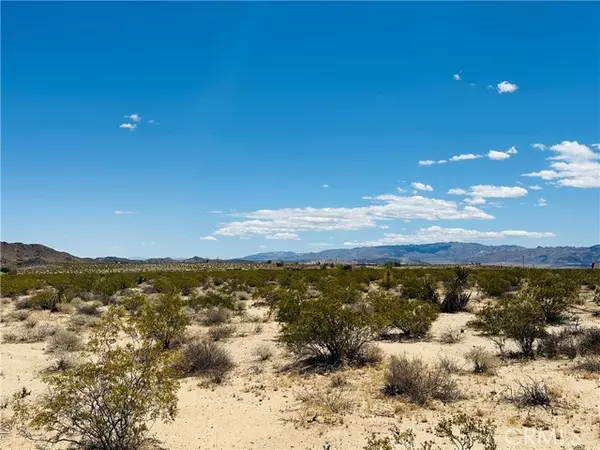 Joshua Tree, CA 92252,2 Milky Way Avenue