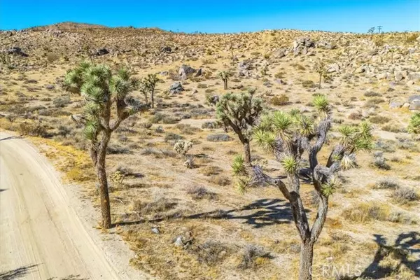 Yucca Valley, CA 92284,2175 Geronimo Trail