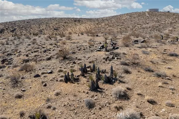 Yucca Valley, CA 92285,1000 Millie Lane