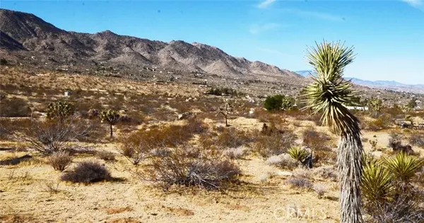 Joshua Tree, CA 92252,8675 Tortuga Trail