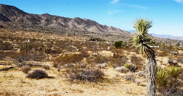 Joshua Tree, CA 92252,8675 Tortuga Trail