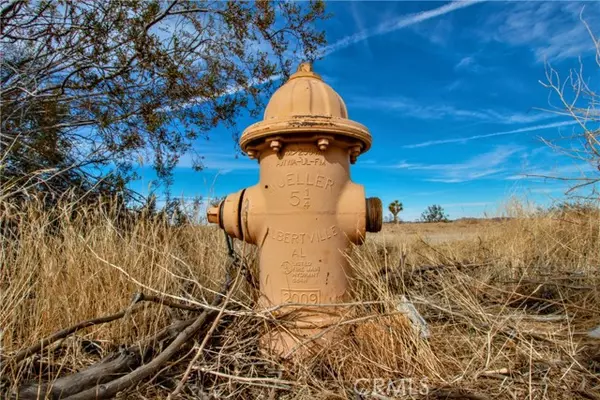 Joshua Tree, CA 92252,6425 Sun Ray Road