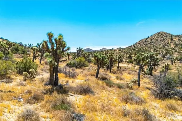 Yucca Valley, CA 92284,8553 Kickapoo Trail