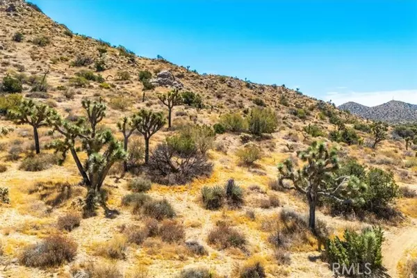 Yucca Valley, CA 92284,8553 Kickapoo Trail