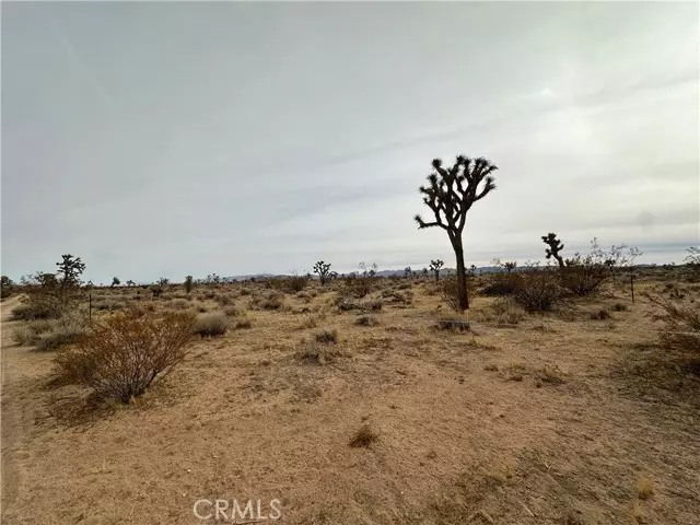 Yucca Valley, CA 92284,0 Canterbury