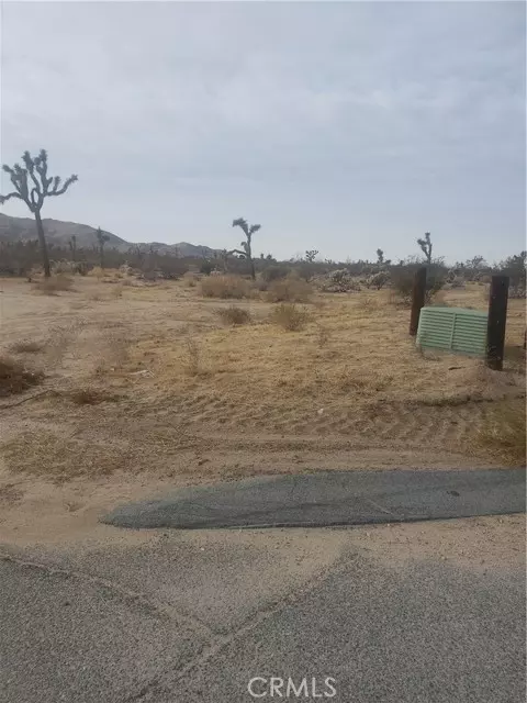 Joshua Tree, CA 92252,29 Palms