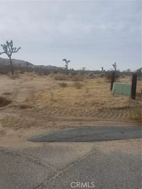 29 Palms, Joshua Tree, CA 92252