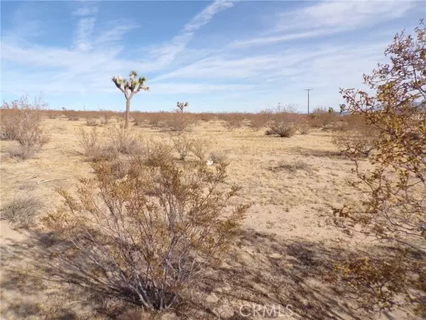 Joshua Tree, CA 92252,0 Foxy Flats Road