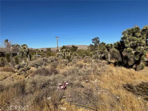 Yucca Valley, CA 92284,56434 Desert Gold Drive