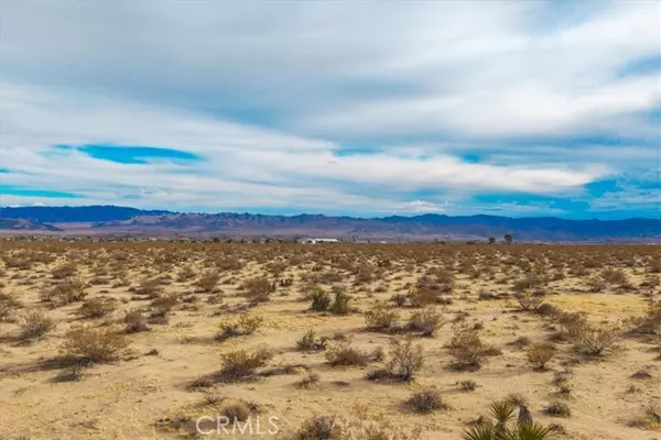 Joshua Tree, CA 92252,62155 Moonlight Mesa Street