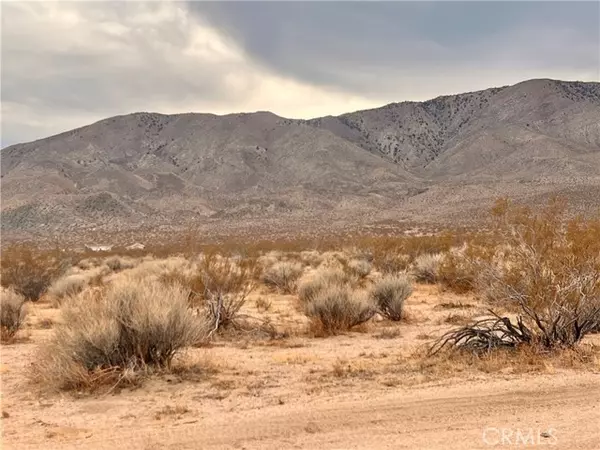 Johnson Valley, CA 92285,0 Ocotillo Road