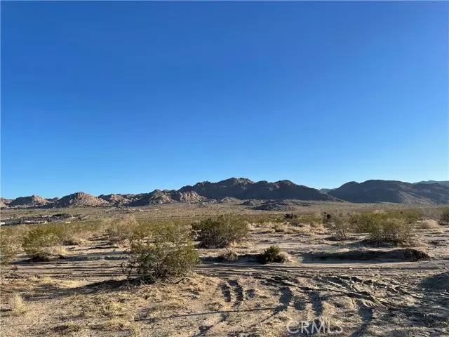Joshua Tree, CA 92252,1234 Rice Avenue