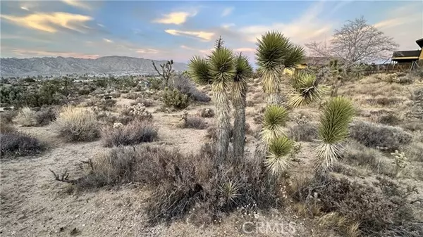 Yucca Valley, CA 92284,55370 Bunny Road