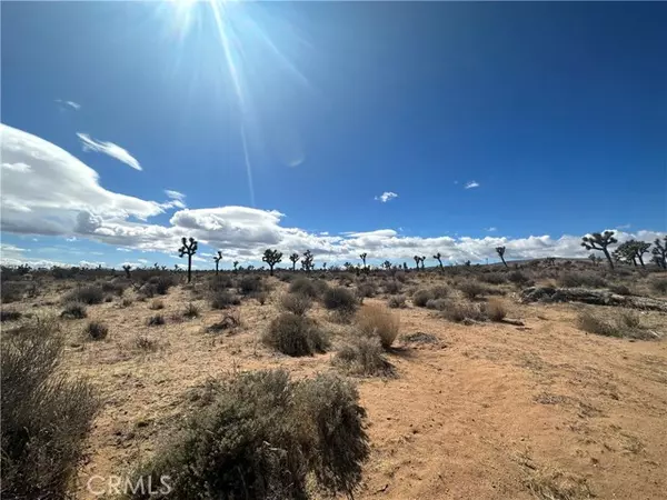 Yucca Valley, CA 92284,77777 Sunny Sands Drive