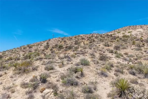 Yucca Valley, CA 92284,55652 Buena Vista Drive