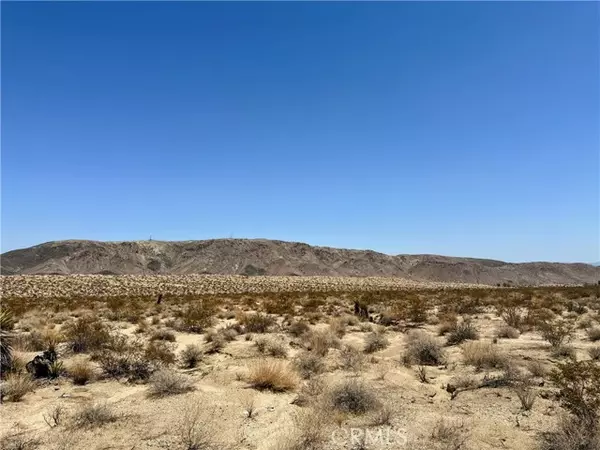 Joshua Tree, CA 92252,67000 29 Palms Highway