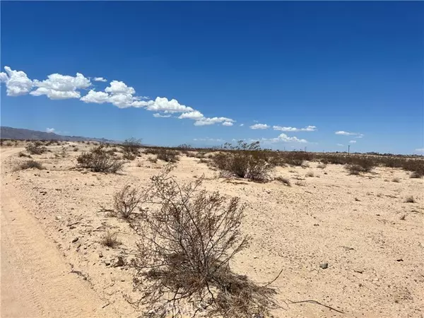 29 Palms, CA 92277,0 Garden